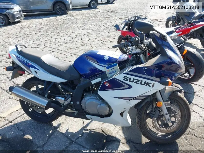 2006 Suzuki Gs500 Fk VIN: VTTGM51A562103318 Lot: 42136056