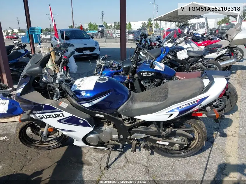2006 Suzuki Gs500 Fk VIN: VTTGM51A562103318 Lot: 42136056