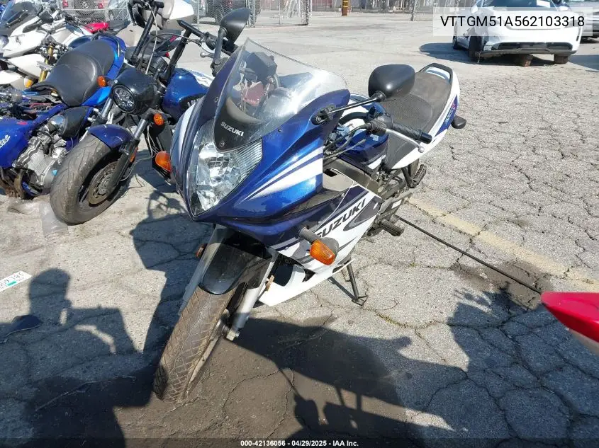 2006 Suzuki Gs500 Fk VIN: VTTGM51A562103318 Lot: 42136056