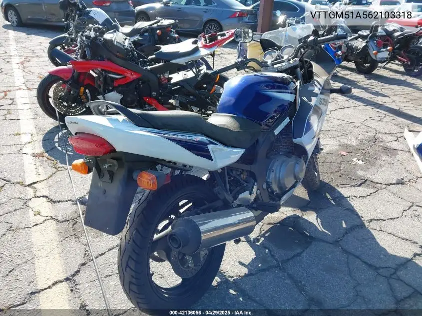 2006 Suzuki Gs500 Fk VIN: VTTGM51A562103318 Lot: 42136056