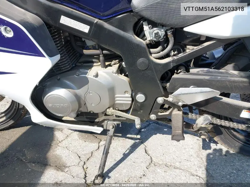 2006 Suzuki Gs500 Fk VIN: VTTGM51A562103318 Lot: 42136056