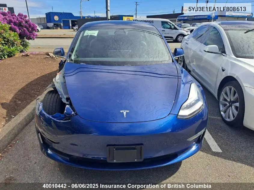 2020 Tesla Model 3 Standard Range Plus VIN: 5YJ3E1EA1LF808613 Lot: 40010442