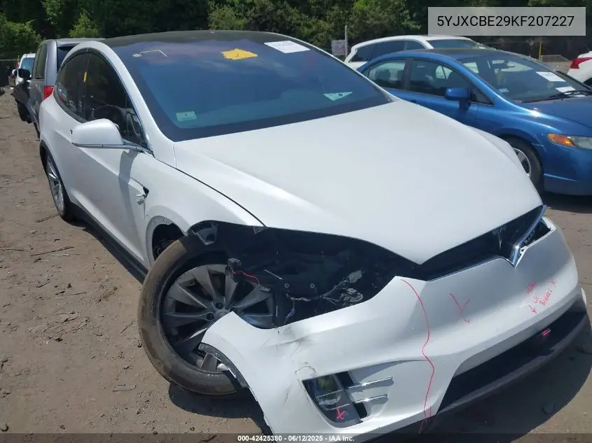 2019 Tesla Model X 100D/75D/Long Range VIN: 5YJXCBE29KF207227 Lot: 42425380