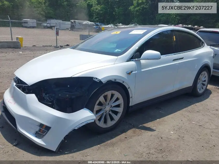 2019 Tesla Model X 100D/75D/Long Range VIN: 5YJXCBE29KF207227 Lot: 42425380