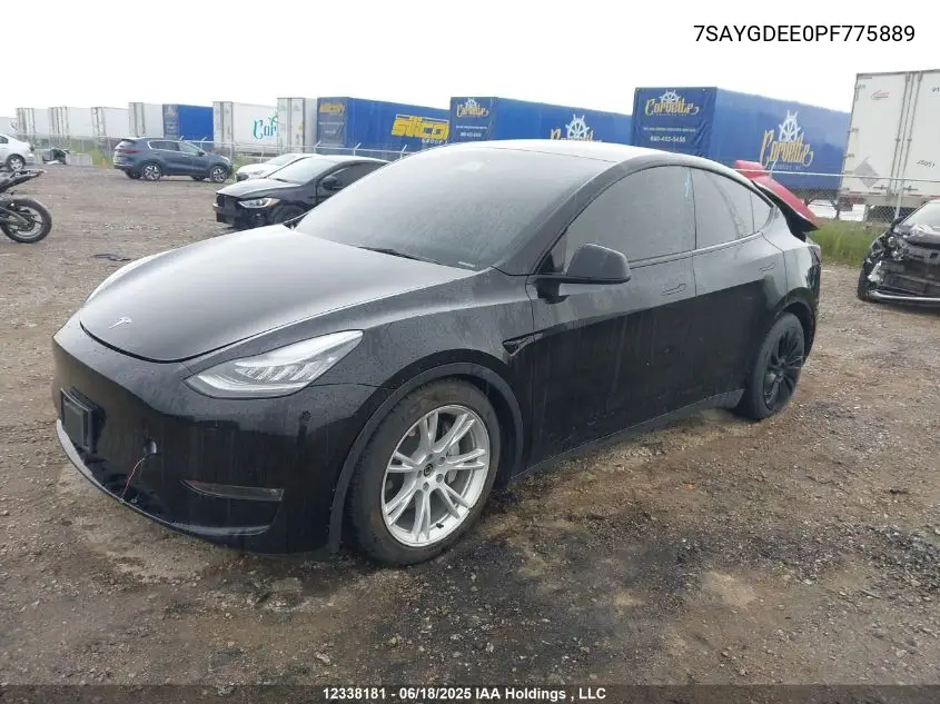 2023 Tesla Model Y Long Range VIN: 7SAYGDEE0PF775889 Lot: 12338181