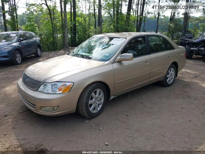 2002 Toyota Avalon Xls VIN: 4T1BF28B62U239889 Lot: 42213423