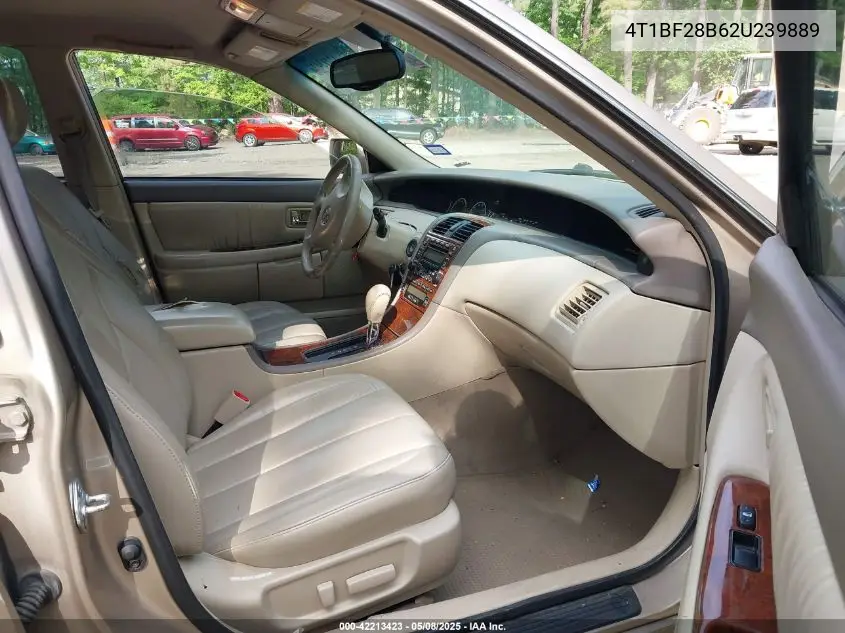 2002 Toyota Avalon Xls VIN: 4T1BF28B62U239889 Lot: 42213423