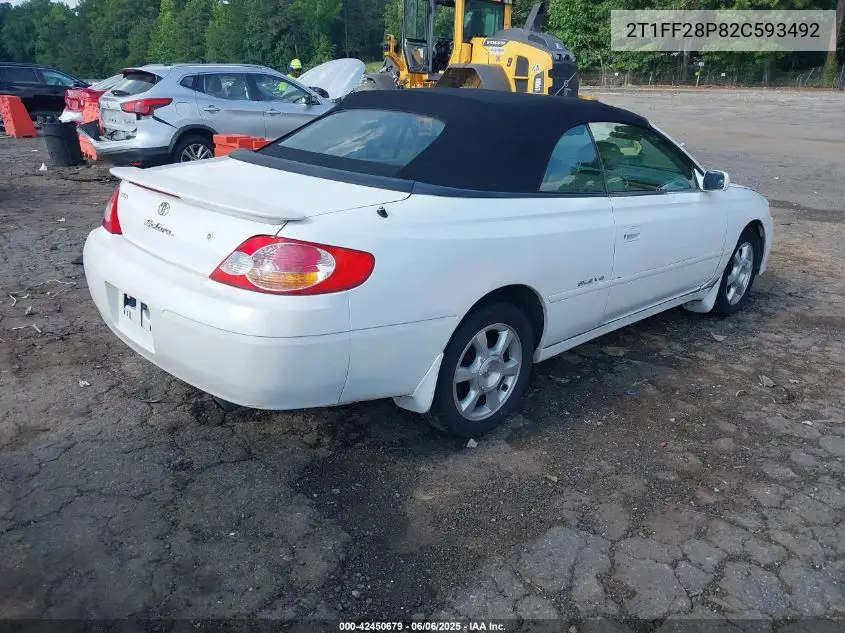 2002 Toyota Camry Solara Sle V6 VIN: 2T1FF28P82C593492 Lot: 42450679