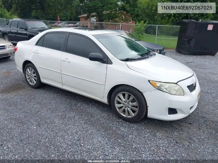 1NXBU40E69Z067025 2009 Toyota Corolla Xle
