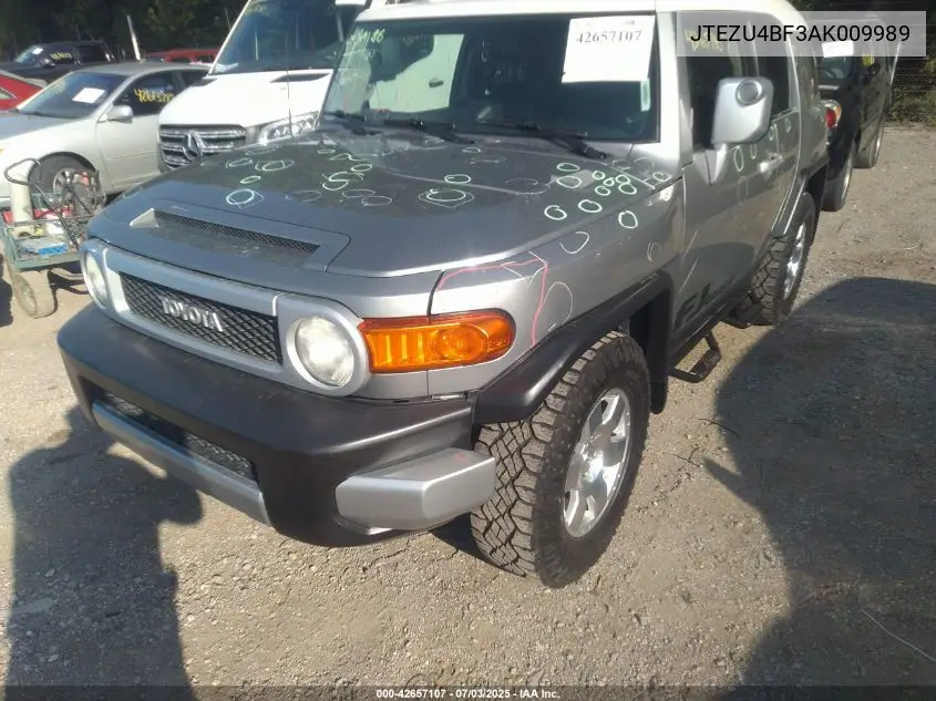 2010 Toyota Fj Cruiser VIN: JTEZU4BF3AK009989 Lot: 42657107