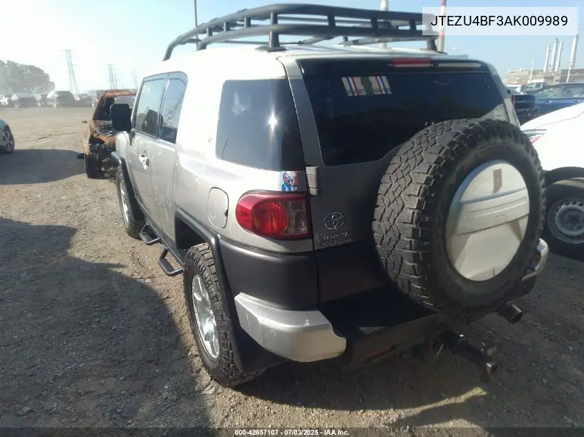 2010 Toyota Fj Cruiser VIN: JTEZU4BF3AK009989 Lot: 42657107