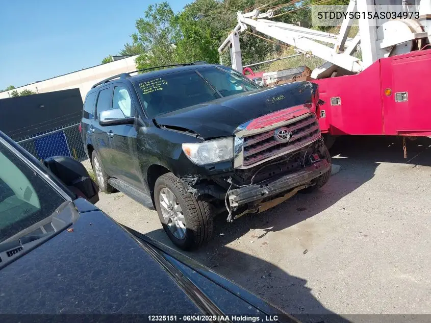 2010 Toyota Sequoia Platinum VIN: 5TDDY5G15AS034973 Lot: 12325151