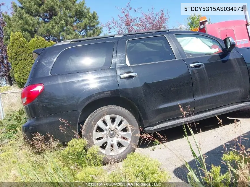 2010 Toyota Sequoia Platinum VIN: 5TDDY5G15AS034973 Lot: 12325151
