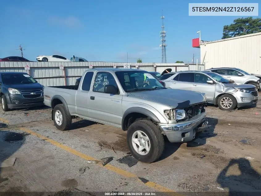 2002 Toyota Tacoma Prerunner VIN: 5TESM92N42Z126567 Lot: 42613569