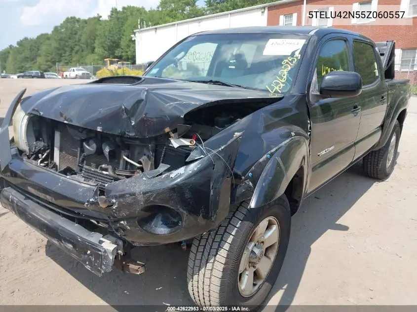 2005 Toyota Tacoma Base V6 VIN: 5TELU42N55Z060557 Lot: 42622953