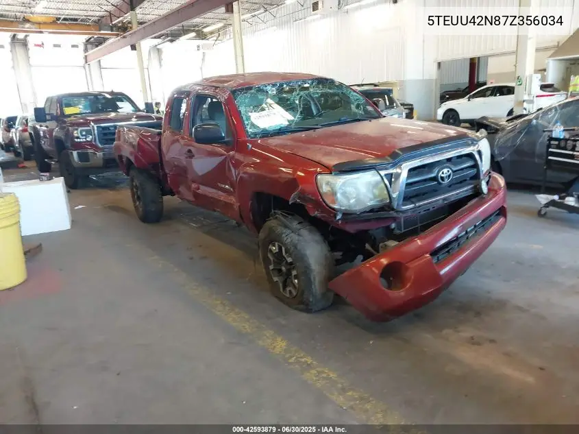 2007 Toyota Tacoma Base V6 VIN: 5TEUU42N87Z356034 Lot: 42593879