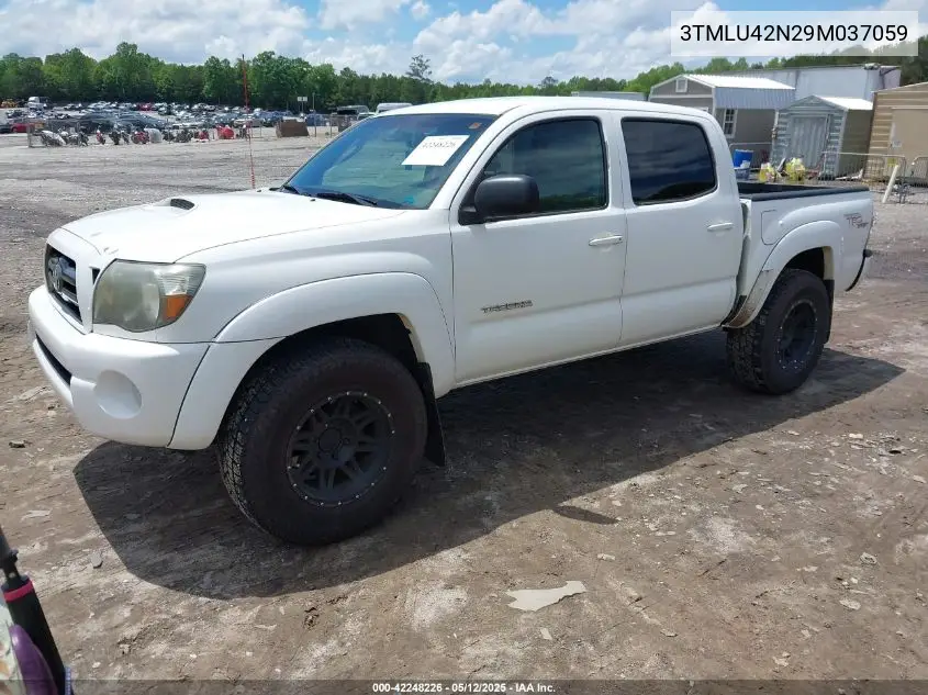 2009 Toyota Tacoma Base V6 VIN: 3TMLU42N29M037059 Lot: 42248226