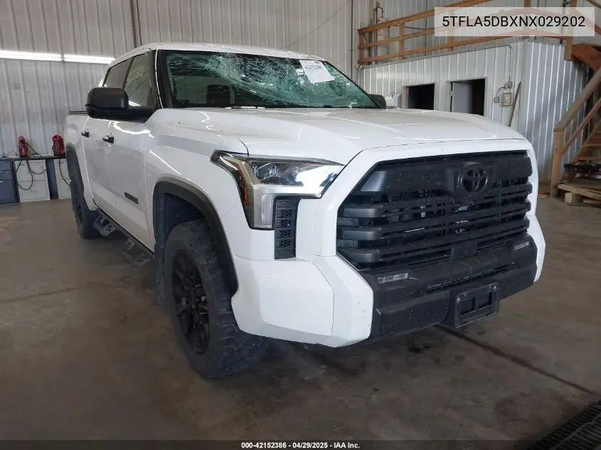 2022 Toyota Tundra Sr5 VIN: 5TFLA5DBXNX029202 Lot: 42152386