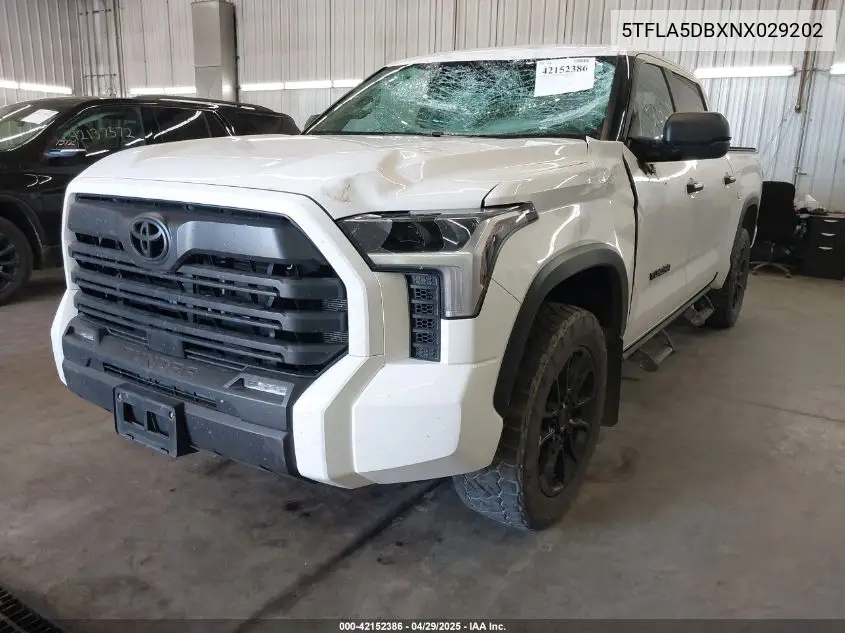 2022 Toyota Tundra Sr5 VIN: 5TFLA5DBXNX029202 Lot: 42152386