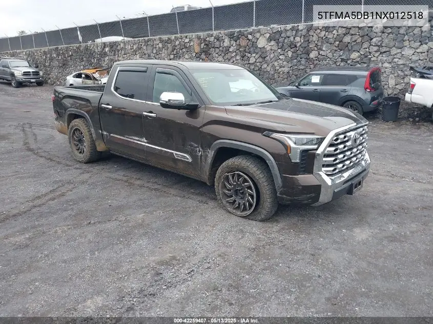 2022 Toyota Tundra 1794 Edition VIN: 5TFMA5DB1NX012518 Lot: 42259407