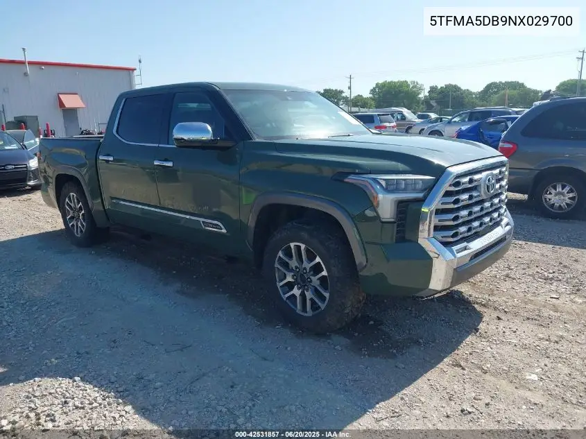2022 Toyota Tundra 1794 Edition VIN: 5TFMA5DB9NX029700 Lot: 42531857