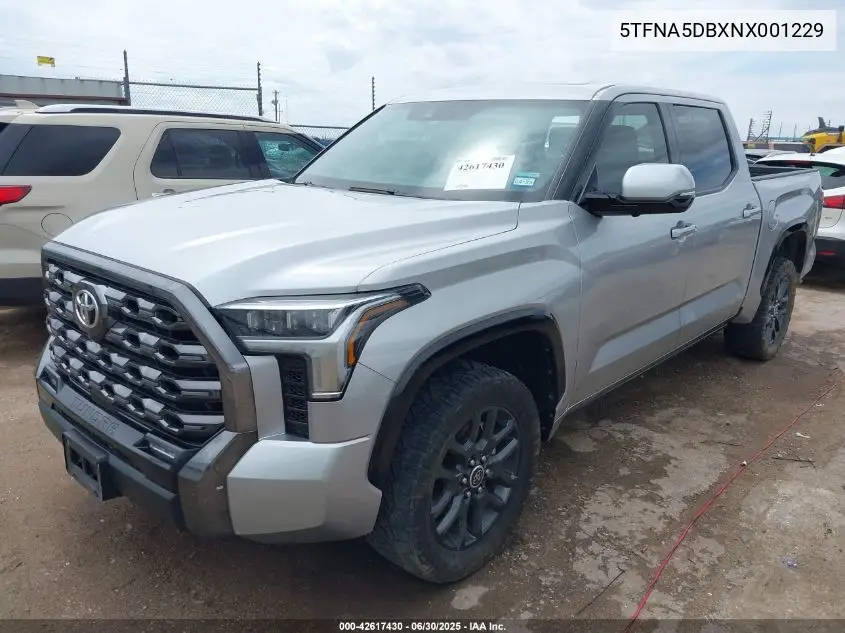 2022 Toyota Tundra Crewmax Platinum/Crewmax 1794 VIN: 5TFNA5DBXNX001229 Lot: 42617430