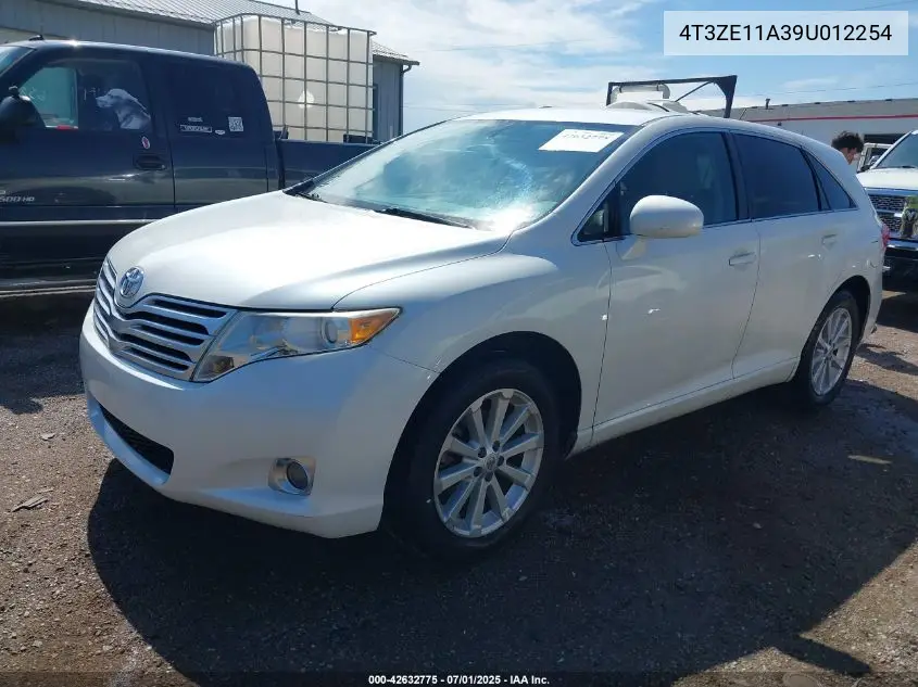 2009 Toyota Venza VIN: 4T3ZE11A39U012254 Lot: 42632775