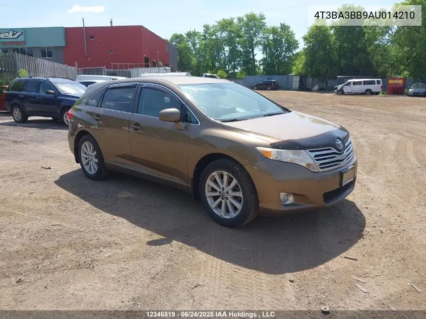 2010 Toyota Venza VIN: 4T3BA3BB9AU014210 Lot: 12346819
