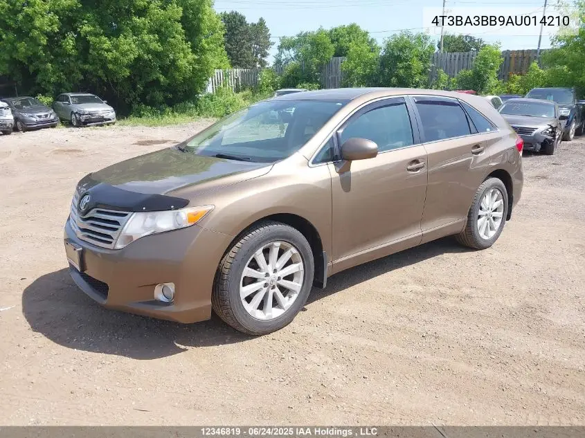 2010 Toyota Venza VIN: 4T3BA3BB9AU014210 Lot: 12346819