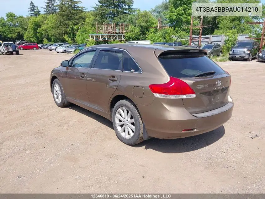 2010 Toyota Venza VIN: 4T3BA3BB9AU014210 Lot: 12346819