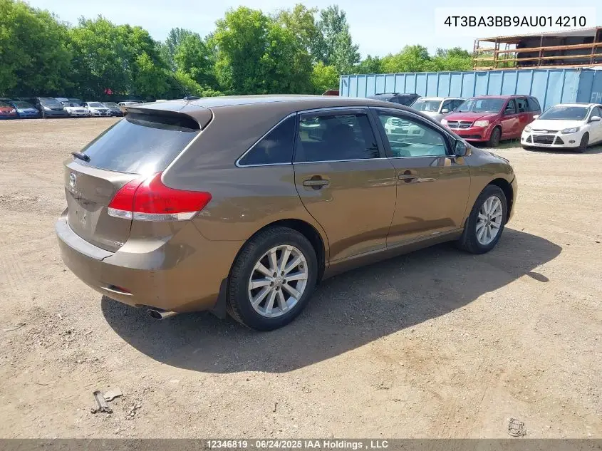 2010 Toyota Venza VIN: 4T3BA3BB9AU014210 Lot: 12346819