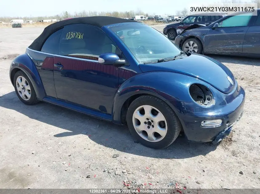 2003 Volkswagen New Beetle Gls VIN: 3VWCK21Y03M311675 Lot: 12302361