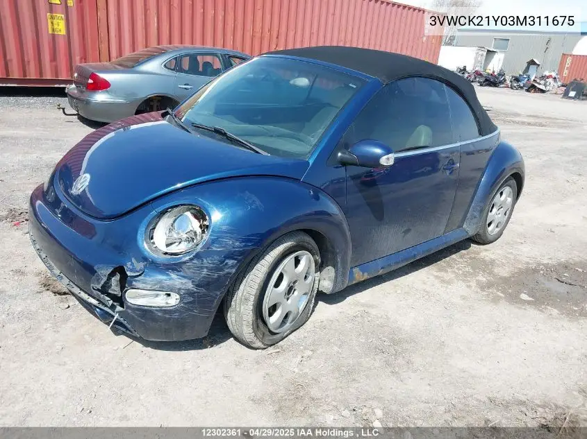2003 Volkswagen New Beetle Gls VIN: 3VWCK21Y03M311675 Lot: 12302361