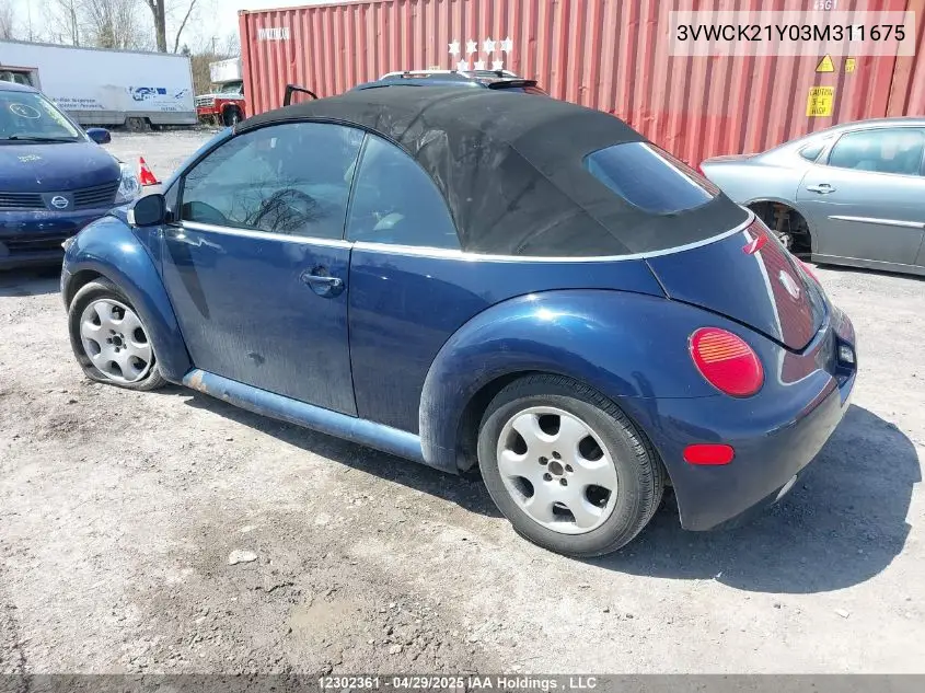 2003 Volkswagen New Beetle Gls VIN: 3VWCK21Y03M311675 Lot: 12302361