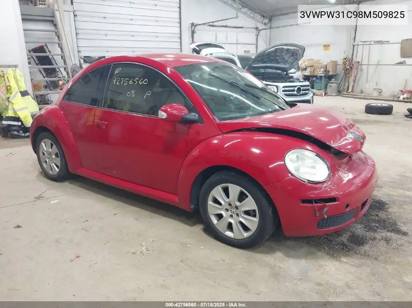 2008 Volkswagen New Beetle S VIN: 3VWPW31C98M509825 Lot: 42756560