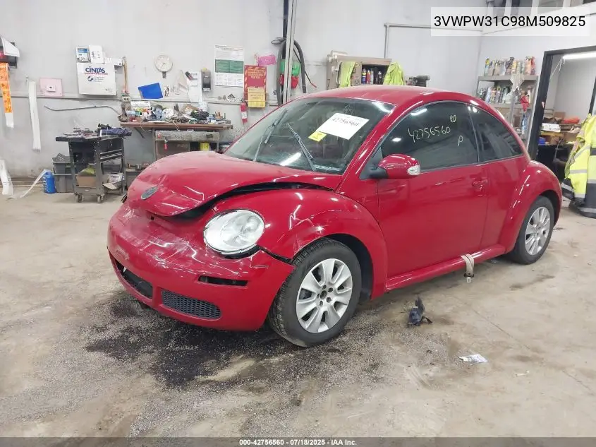 2008 Volkswagen New Beetle S VIN: 3VWPW31C98M509825 Lot: 42756560
