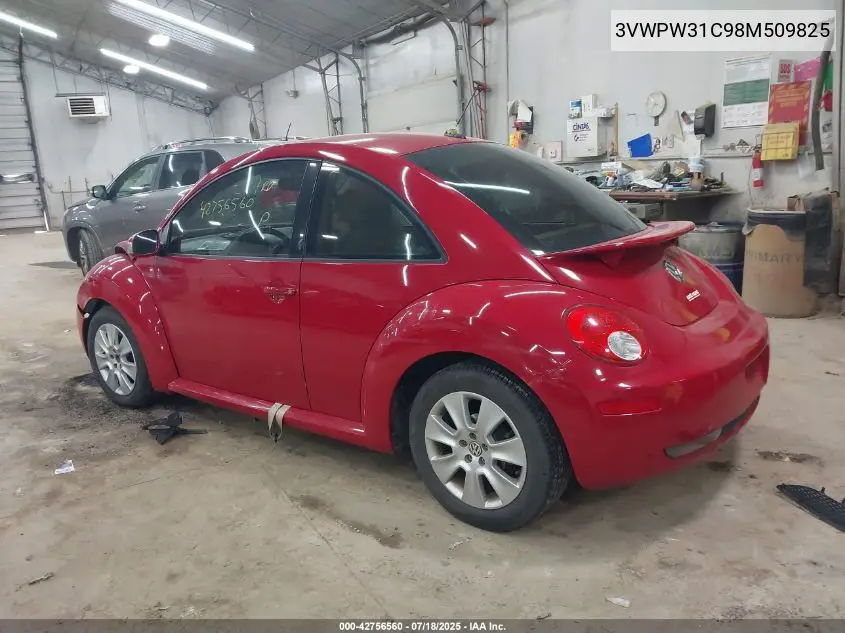 2008 Volkswagen New Beetle S VIN: 3VWPW31C98M509825 Lot: 42756560