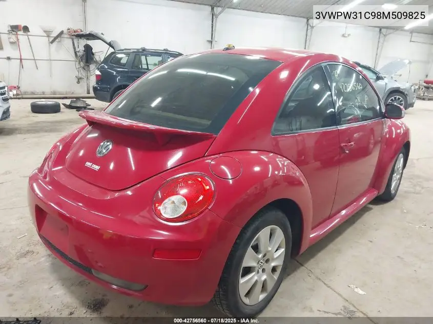 2008 Volkswagen New Beetle S VIN: 3VWPW31C98M509825 Lot: 42756560