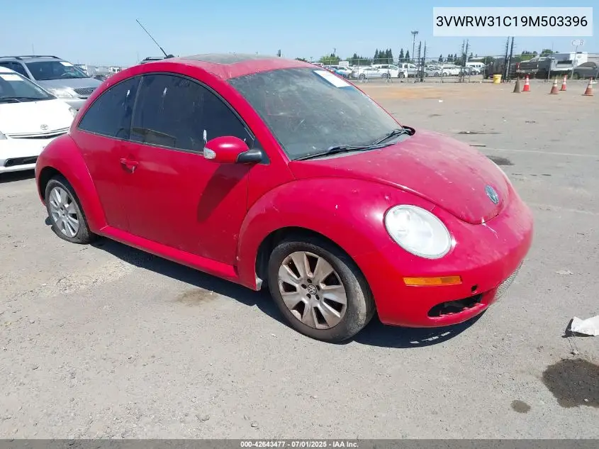2009 Volkswagen New Beetle 2.5L VIN: 3VWRW31C19M503396 Lot: 42643477