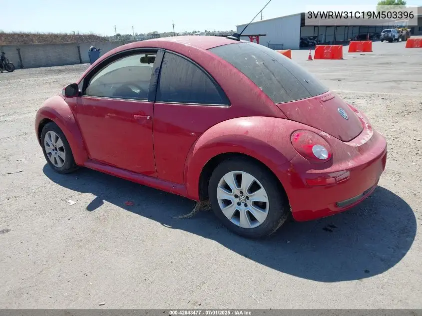 2009 Volkswagen New Beetle 2.5L VIN: 3VWRW31C19M503396 Lot: 42643477