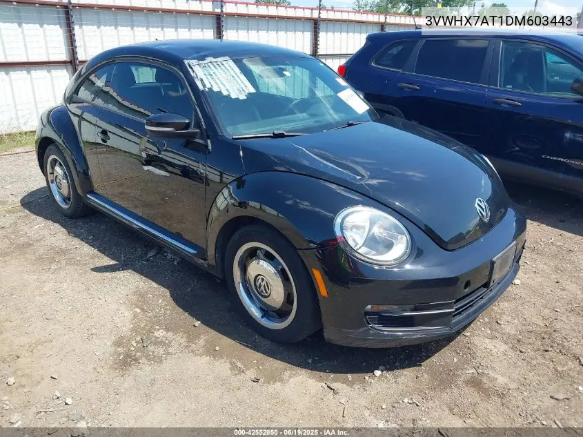 2013 Volkswagen Beetle 2.5L VIN: 3VWHX7AT1DM603443 Lot: 42552850