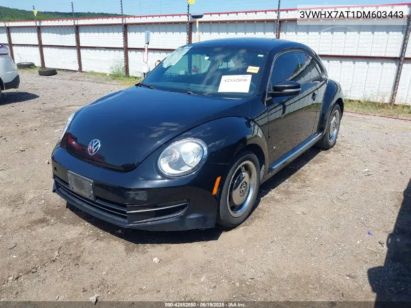 2013 Volkswagen Beetle 2.5L VIN: 3VWHX7AT1DM603443 Lot: 42552850