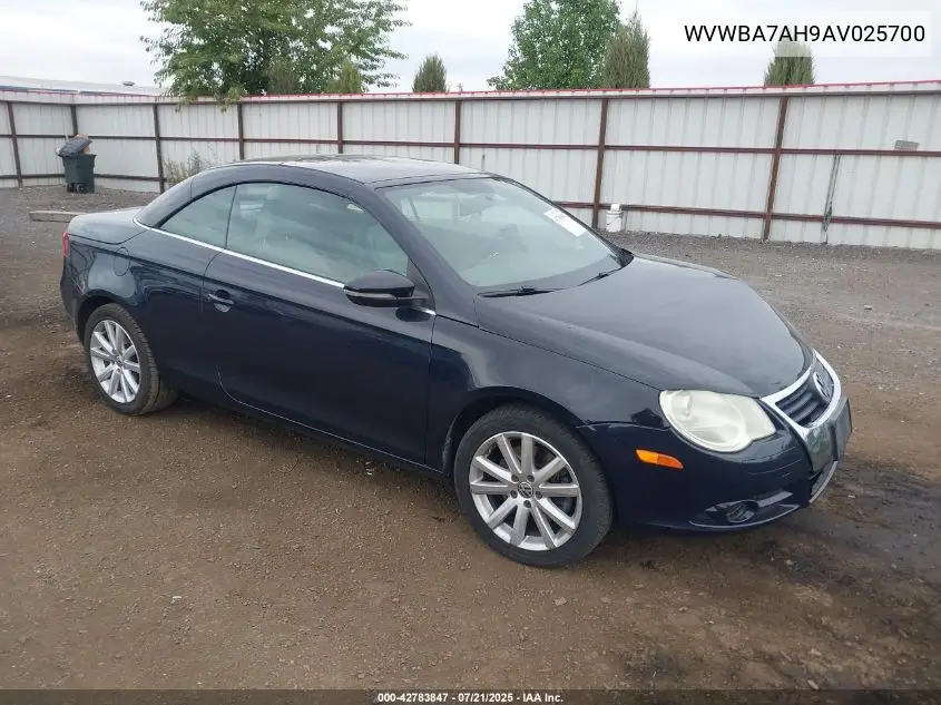 2010 Volkswagen Eos Komfort VIN: WVWBA7AH9AV025700 Lot: 42783847
