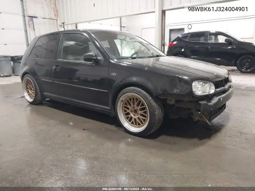 2002 Volkswagen Golf Gl VIN: 9BWBK61J324004901 Lot: 42494159