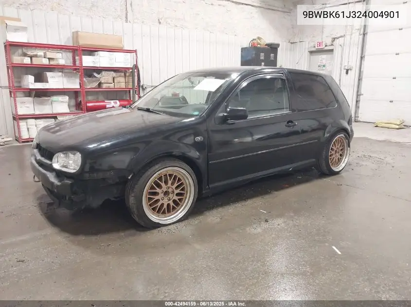2002 Volkswagen Golf Gl VIN: 9BWBK61J324004901 Lot: 42494159
