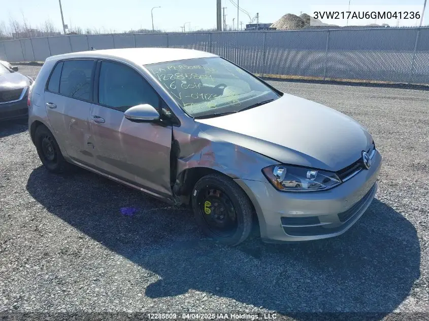 2016 Volkswagen Golf S/Se/Sel VIN: 3VW217AU6GM041236 Lot: 12285809