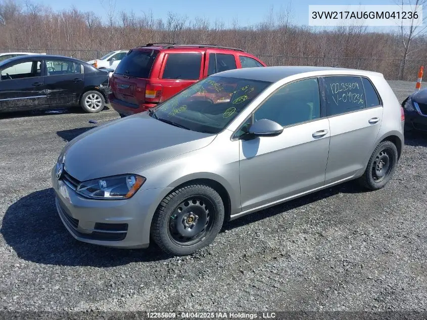 2016 Volkswagen Golf S/Se/Sel VIN: 3VW217AU6GM041236 Lot: 12285809