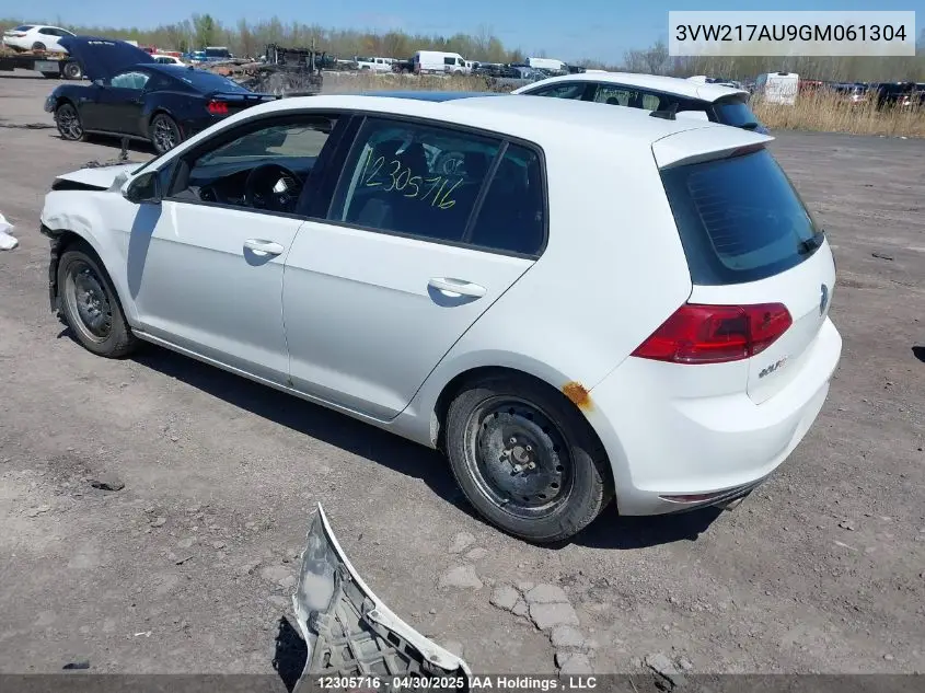 2016 Volkswagen Golf 1.8 Tsi Comfortline/1.8 Tsi Highline/1.8 Tsi Trendline VIN: 3VW217AU9GM061304 Lot: 12305716X