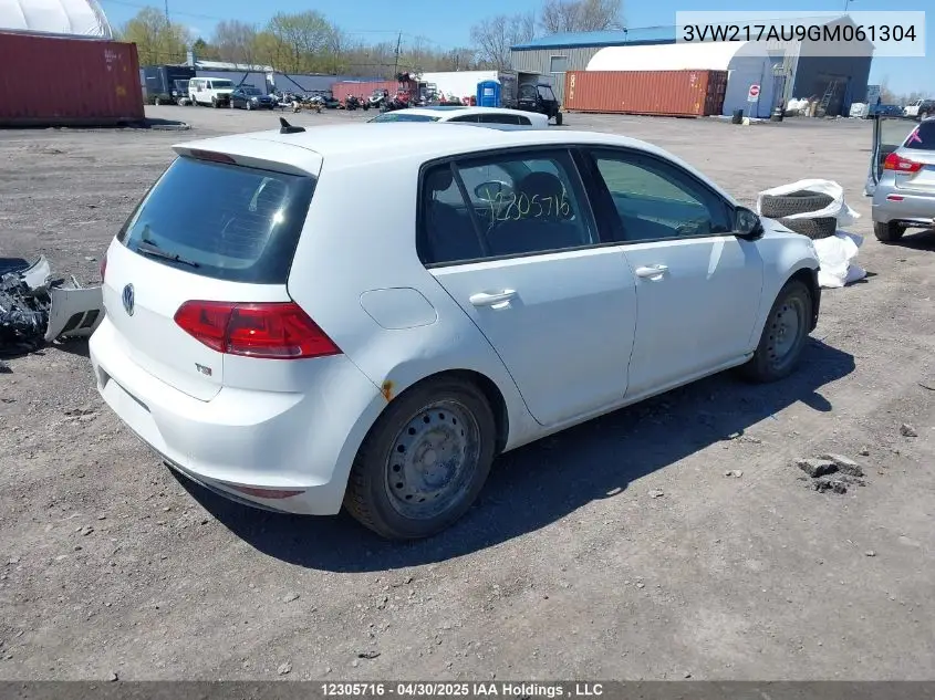 2016 Volkswagen Golf 1.8 Tsi Comfortline/1.8 Tsi Highline/1.8 Tsi Trendline VIN: 3VW217AU9GM061304 Lot: 12305716X