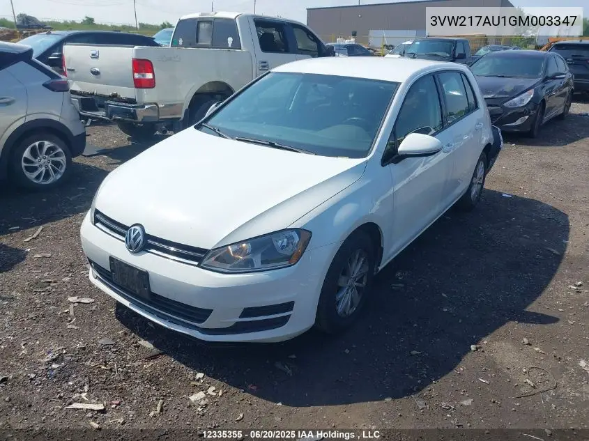 2016 Volkswagen Golf S/Se/Sel VIN: 3VW217AU1GM003347 Lot: 12335355